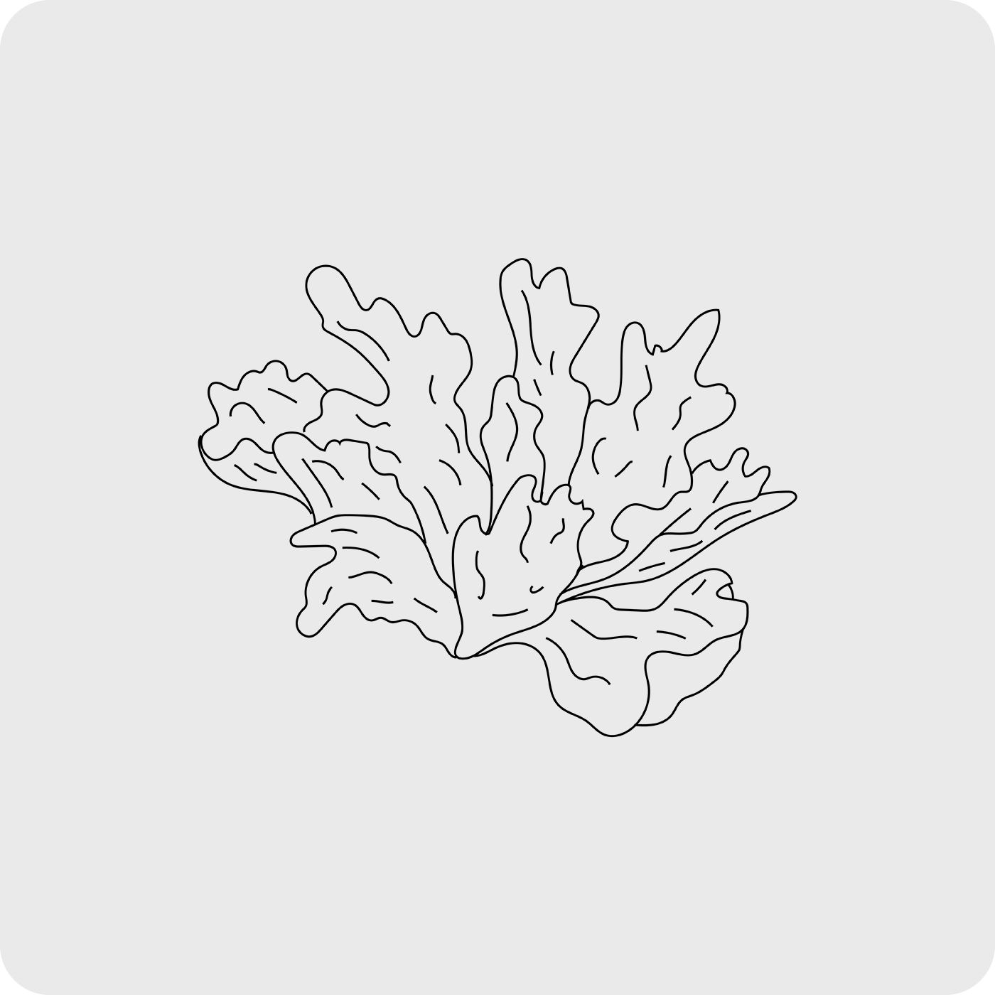 Tremella Mushroom Icon