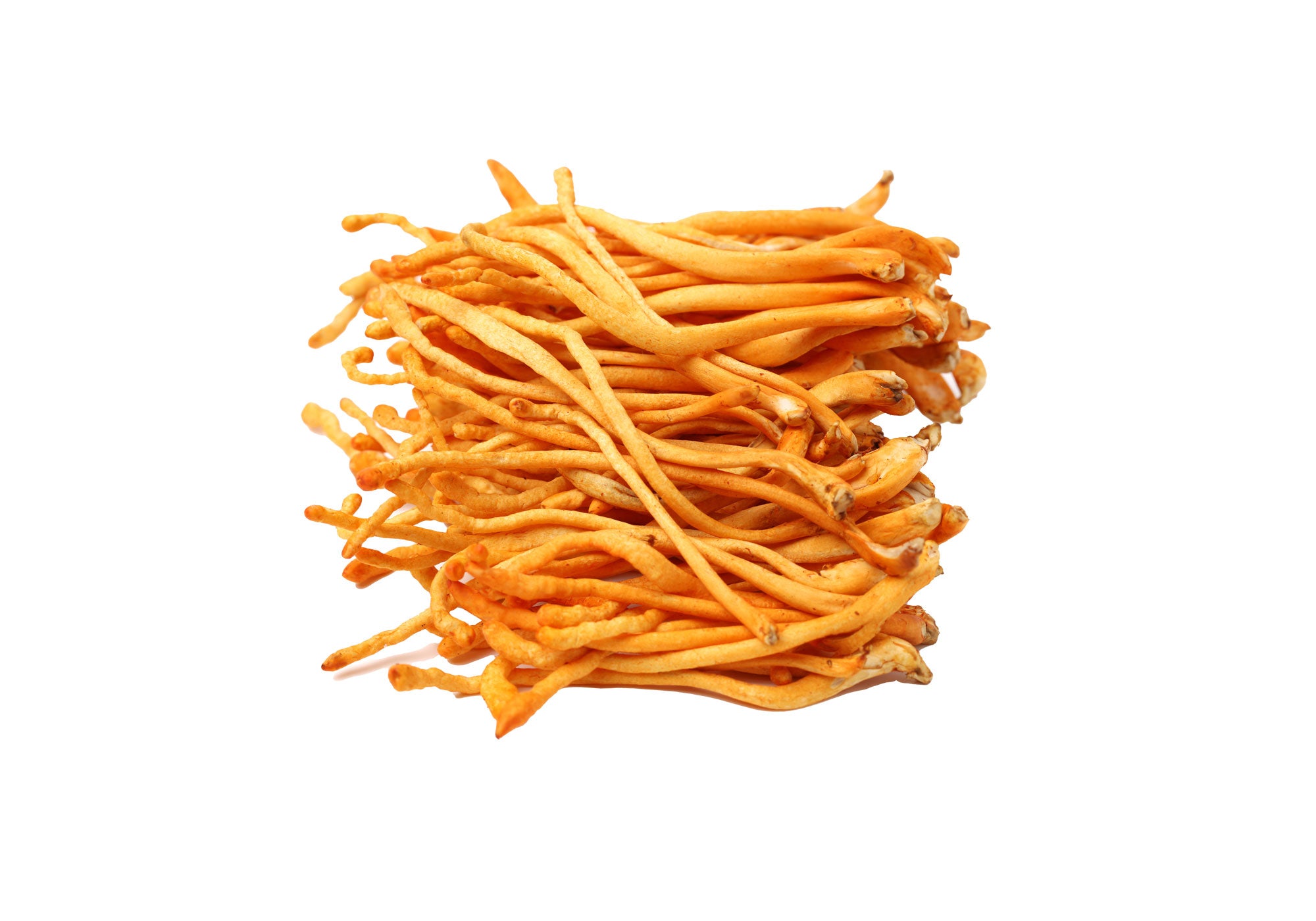 Cordyceps Mushroom UK